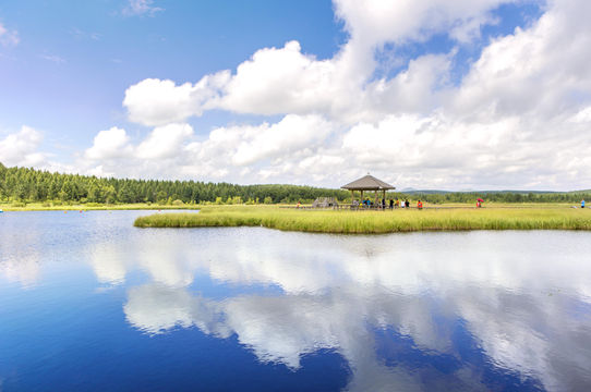 Qixing Lake Wetland Park