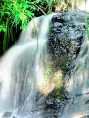 Durian perangin Waterfalls