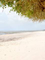 Bamburi海灘