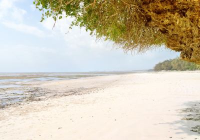 Bamburi海灘