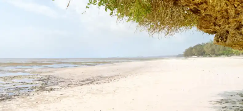 Hotels in Bamburi