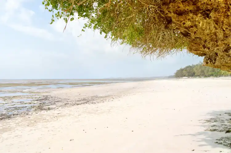 Bamburi