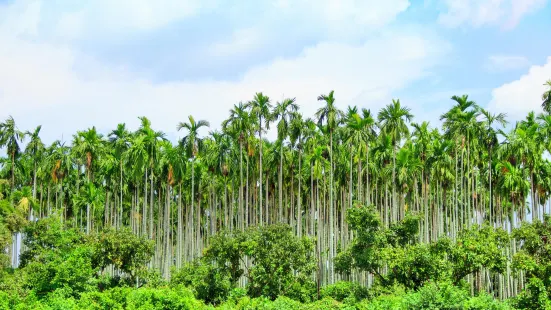 Tropical Fruit Farm