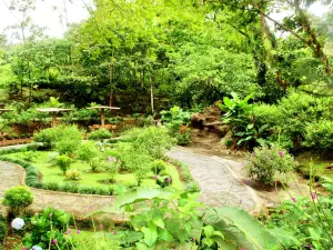 Lankester Botanical Garden