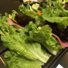 BenJia Korean Restaurant (TianShan Road) ảnh của người dùng