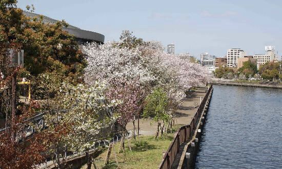 小城公園
