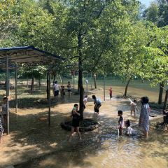 JIN CEN YUAN NONG ZHUANG User Photo