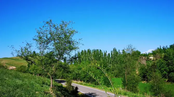 Sarbulak Village