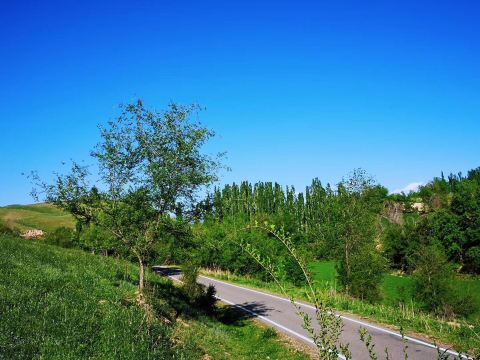 Sarbulak Village