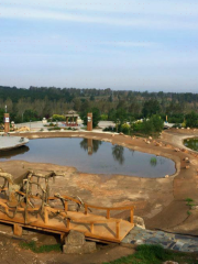 風水山植物園