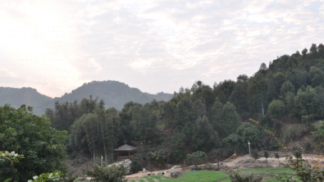 Dongyang Valley, Conghua