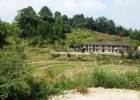 Xiping Village, Shangyang