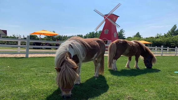 Shanyang Countryside