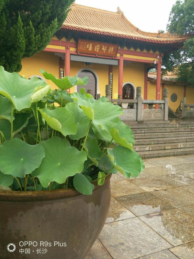 Xixin Buddhist Temple