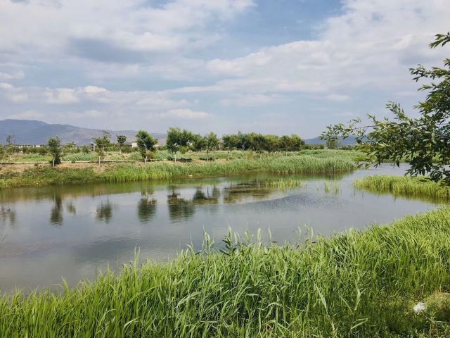 Dali West Lake
