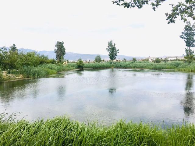 Dali West Lake