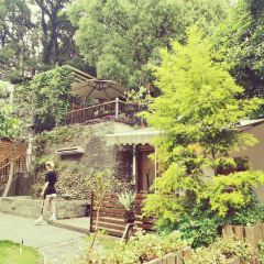 杭州如野民宿(西湖风景区太子湾公园店)·如野·玻璃房子·山野食记(西湖龙井虎跑店) User Photo