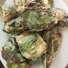 怡景海鲜私厨(青澳湾旅游必选店) User Photo