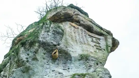 2人起私人導覽柯岩魯迅故居沈園安昌鎮一日遊紹興杭州寧波上門接駁