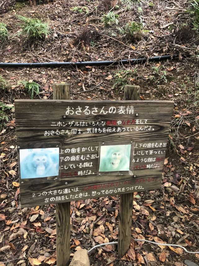 아라시야마