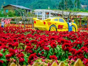 広東仏山高明盈香生態園