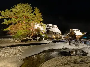 Attrazioni del Giro Notturno a Prefettura di Gifu: le opzioni più popolari