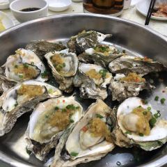 崖口人家 User Photo