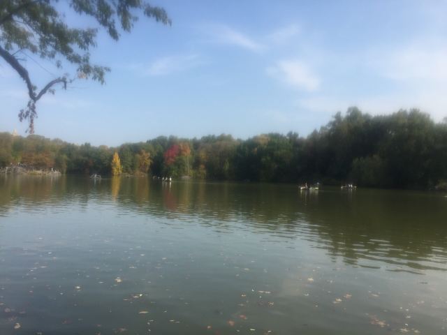 Central Park