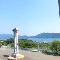Olivaz張用戶圖片