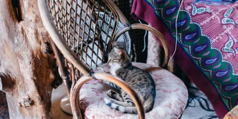 Omurca Art Cave Cafe