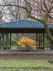 Jardin botanique de Jindai