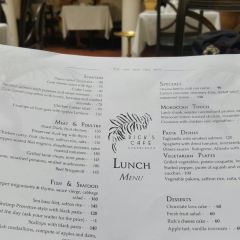 Rick's Cafe User Photo