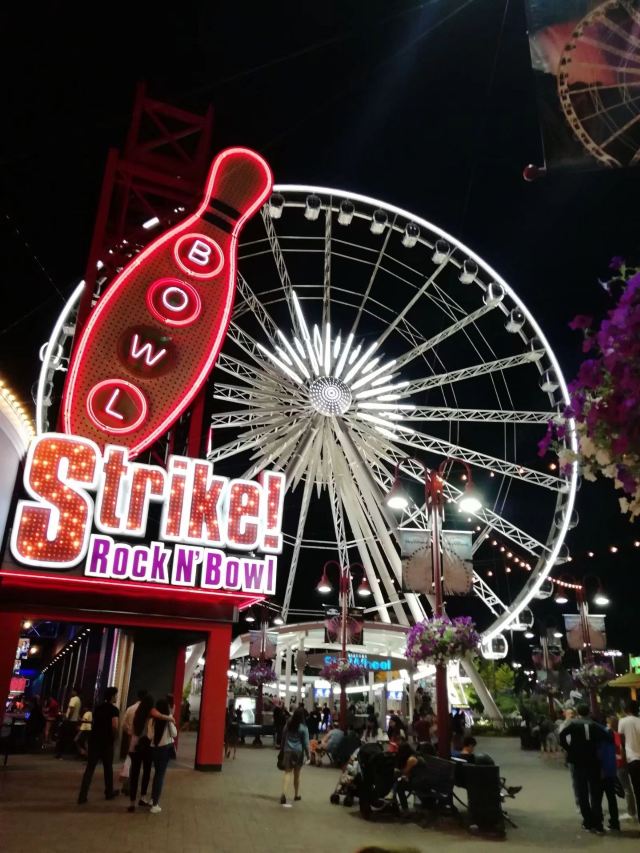 Niagara Skywheel