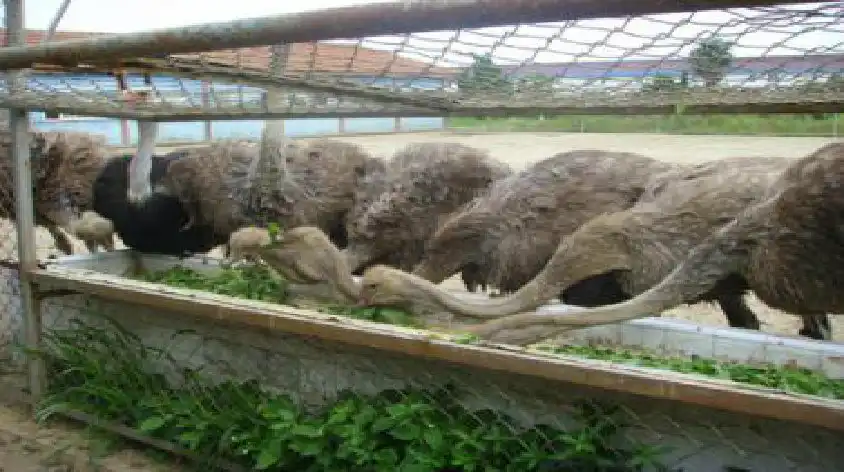 Hotel in zona Shanghai Oriental Geography Museum