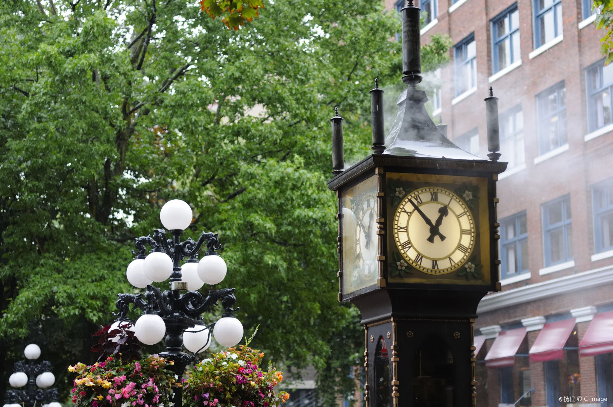 Seattle + Stanley Park Day Tour [Canada Place + Gastown Steam Clock]