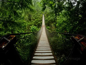 Lynn Canyon Park