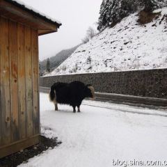 Cuihua Stone Pot Restaurant with Local features User Photo