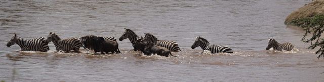 Mara River