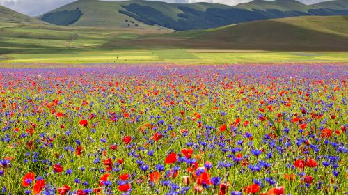 Piana di Castelluccio di Norcia