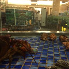 SHUNDE GOURMET User Photo