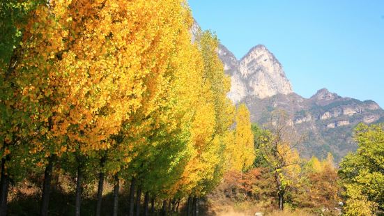 这个要称为景点实在是非常勉强。炮楼是为拍电影而建的。所以没有