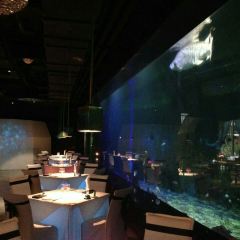 SHARK RESTAURANT User Photo