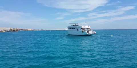 Sofra Middle Eastern Cuisine - Hurghada