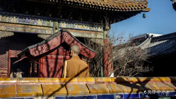 北京雍和宮一日遊&佛教聖殿||祈福-靜心-探秘皇家寺院