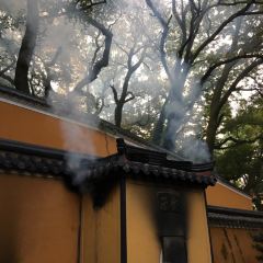 PU TUO SHAN LEI DI SEN ZHUANG YUAN User Photo