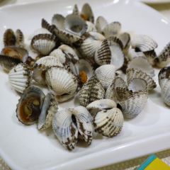HAI YI MEI SHI LOU User Photo