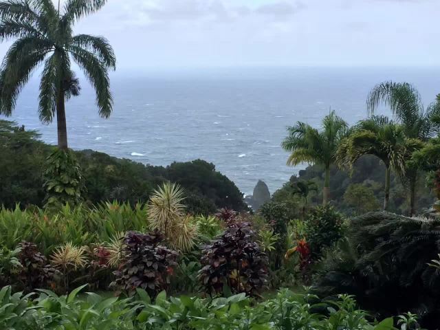 茂宜島