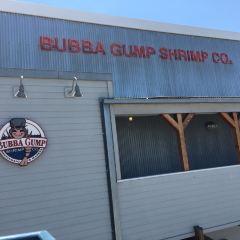 Bubba Gump Shrimp Co.  (SANTA MONICA PIER) User Photo