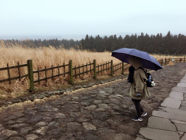 山君不離