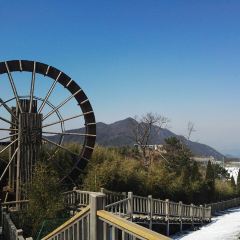 安吉在半山·胖嫂家民宿·竹乡胖嫂家 User Photo